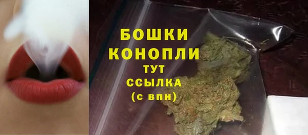 PSILOCYBIN Баксан