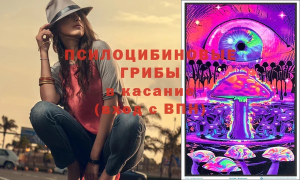 mix Белокуриха